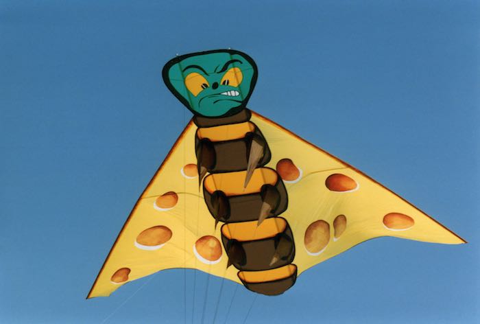 Fliege001