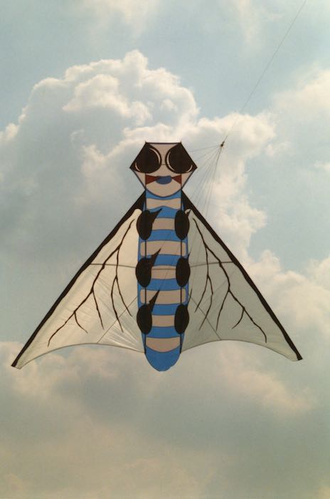 Fliege003